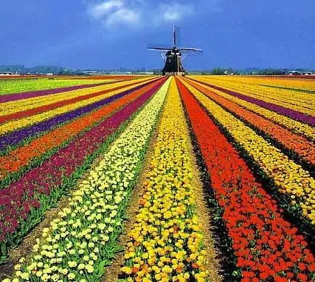 De Halve Maan 2* 博文卡尔斯佩尔