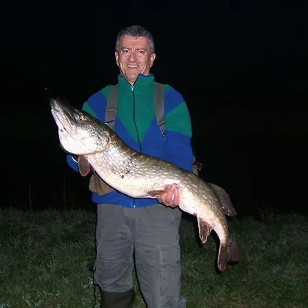 De Halve Maan 2* 博文卡尔斯佩尔